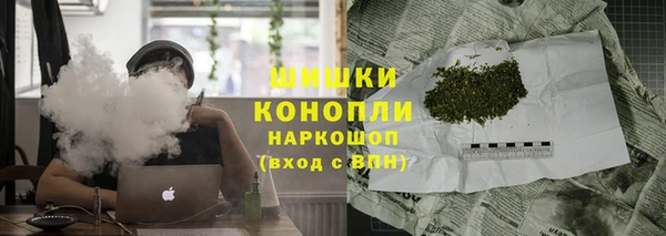 шишки Алексин