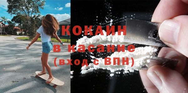 шишки Алексин